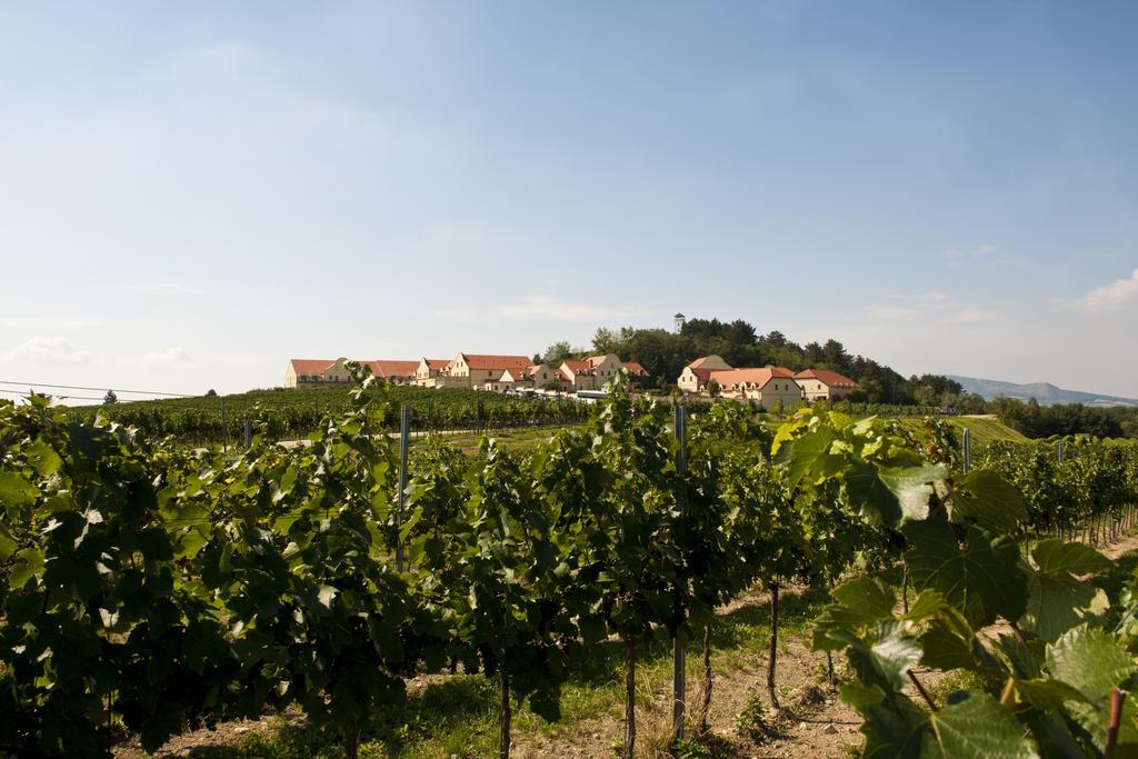 Vinarstvi U Kaplicky Hotel Zajeci Exterior photo